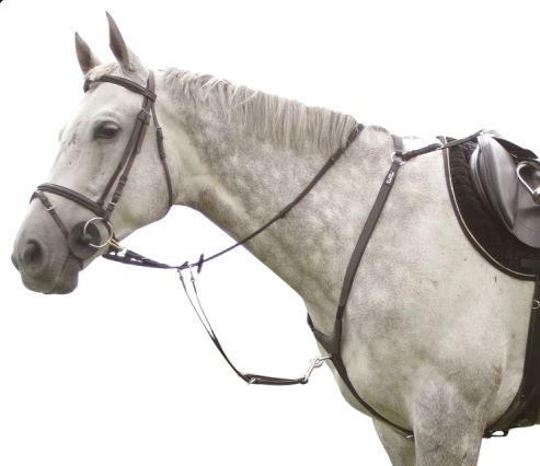 Kentaur 'Arras' Breastplate - Image 2