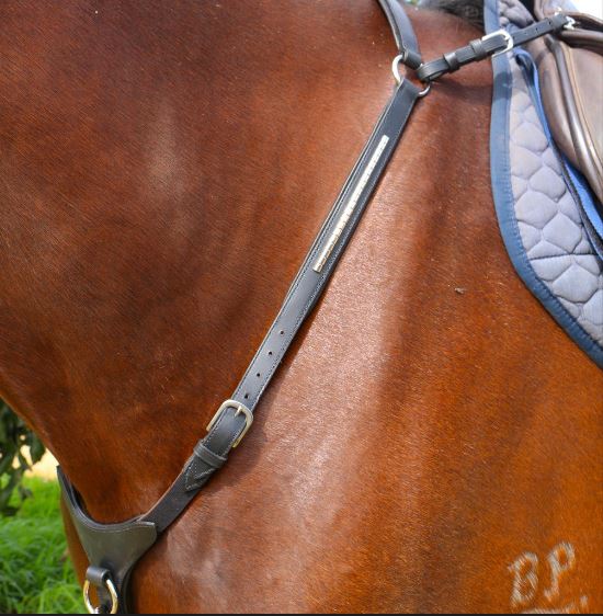 Kentaur 'Arras' Breastplate - Image 5