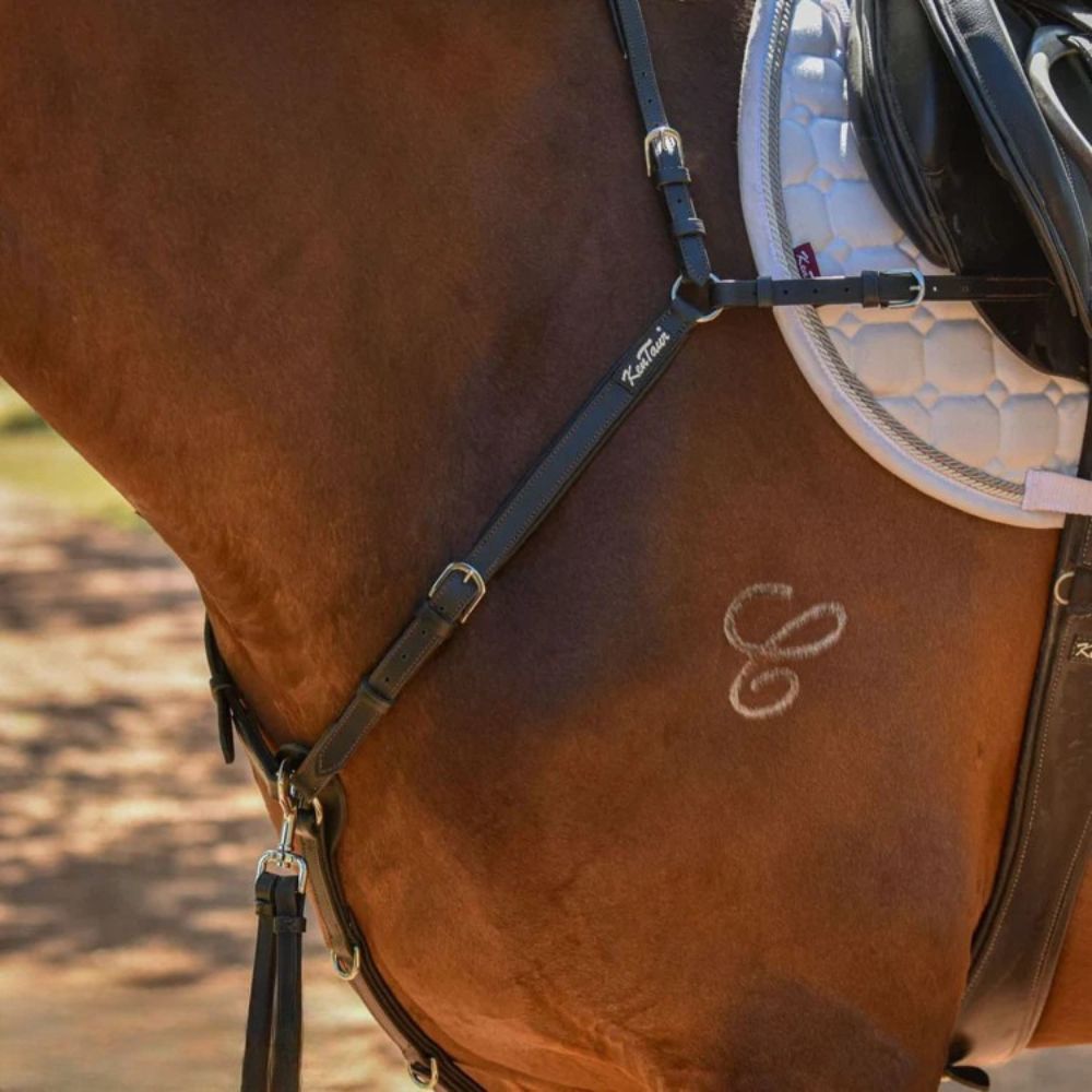 Kentaur 'Mons' Breastplate - Image 2