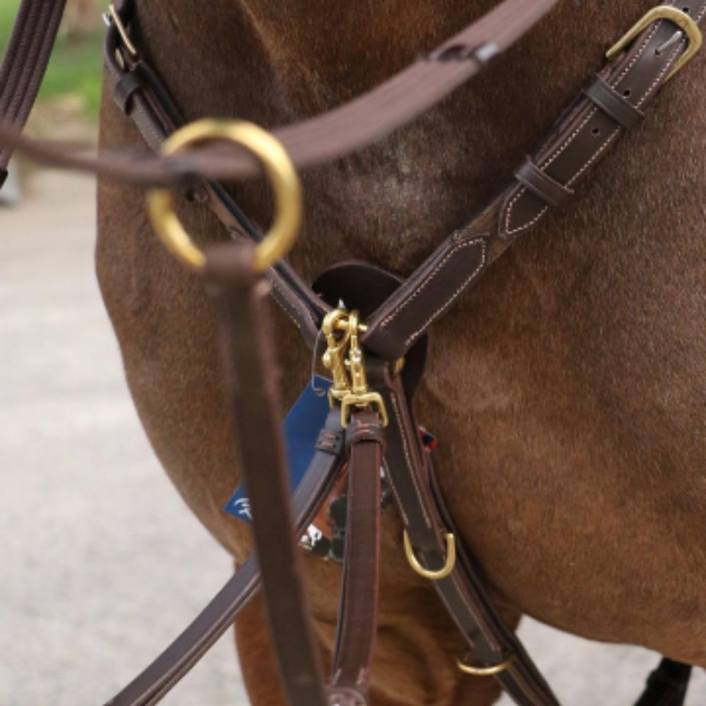 Kentaur 'Mons' Breastplate - Image 4