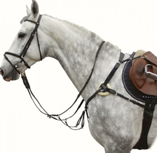 Kentaur 'Palermo' 5pt Breastplate - Image 3