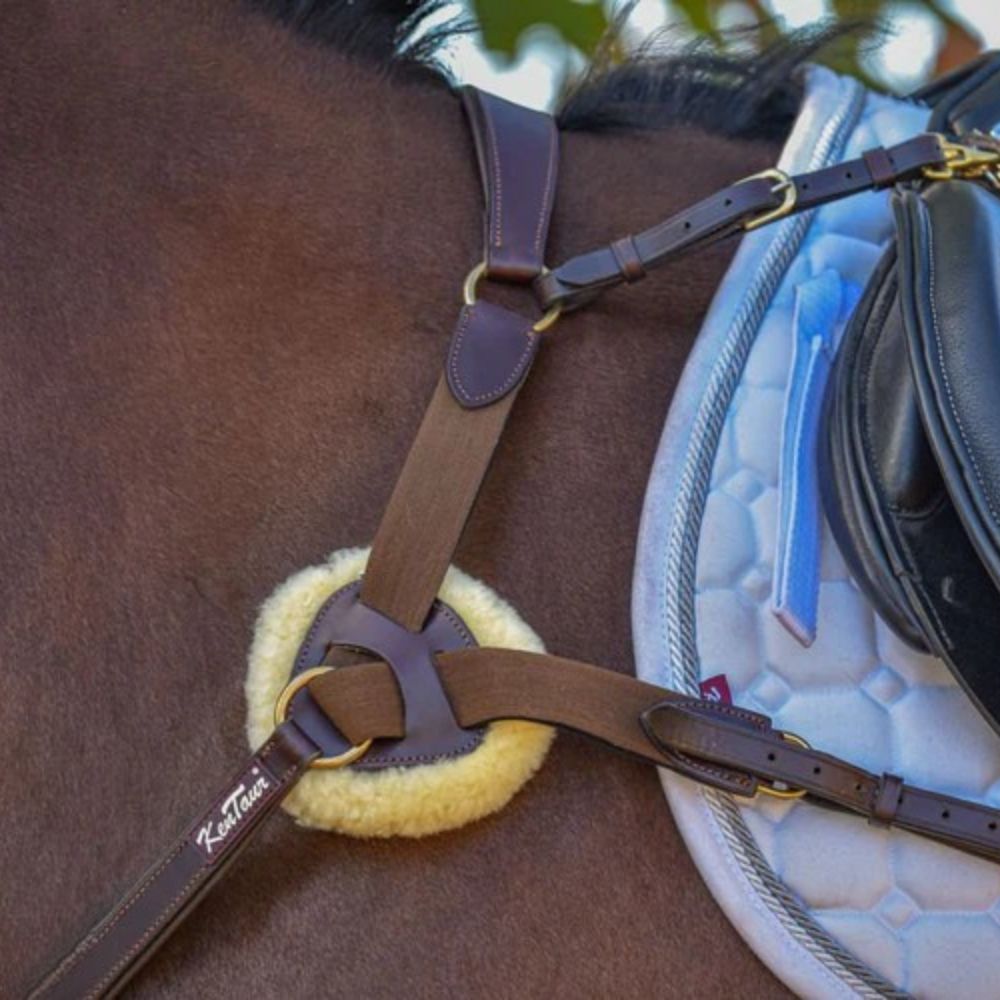Kentaur 'Palermo' 5pt Breastplate - Image 2