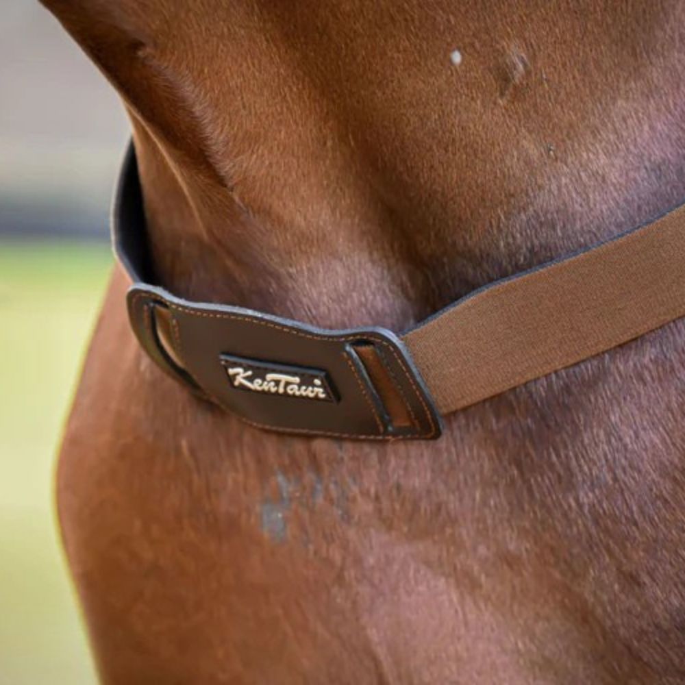 Kentaur 'Amsterdam' Elastic Breastplate - Image 2