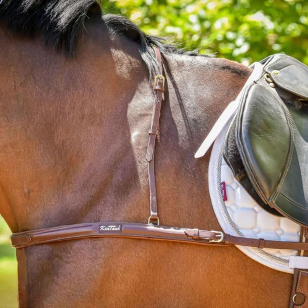 Kentaur 'Capri' 2pt Breastplate - Image 2