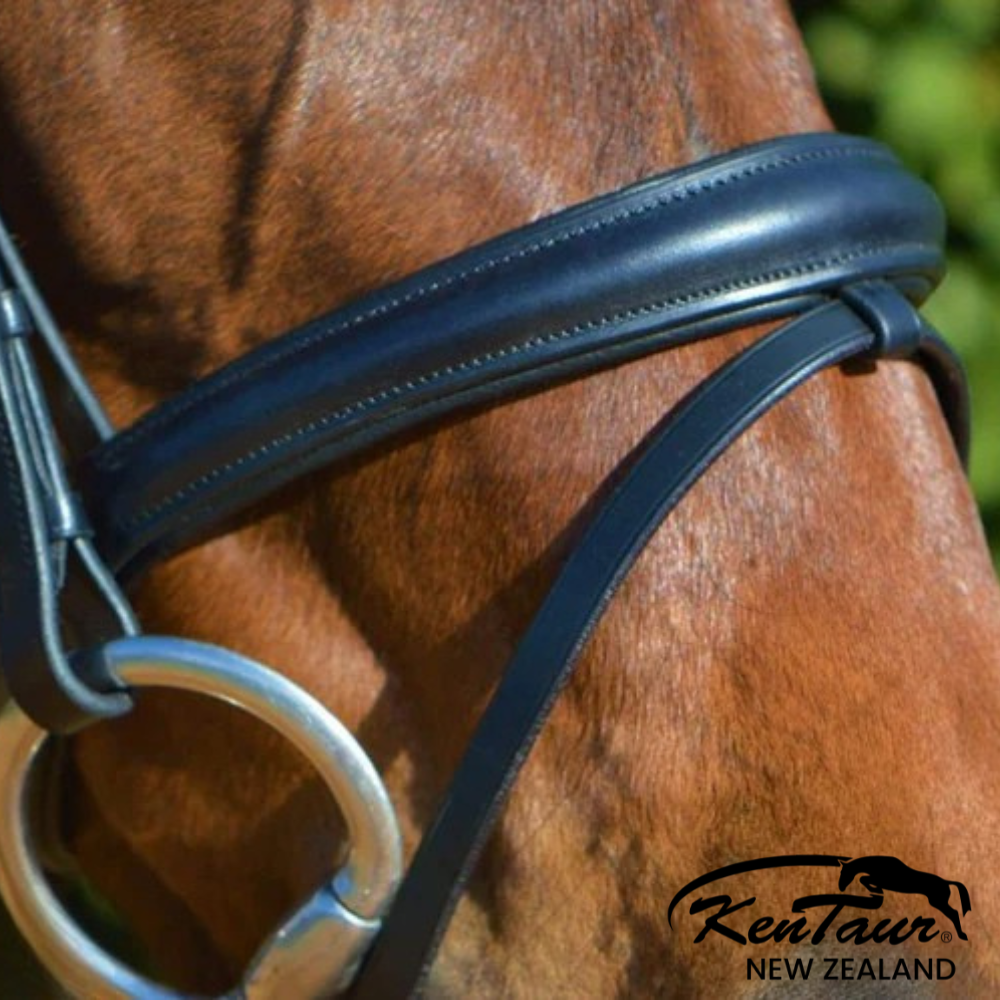 Kentaur 'Colombia' Bridle - Image 2