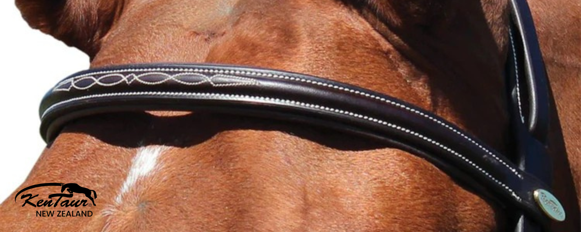 Kentaur 'Hartford' Bridle - Image 4