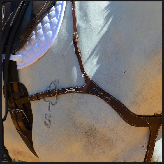 Kentaur 'Torino' 5pt Breastplate - Image 3