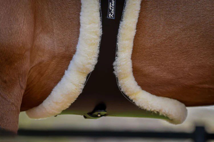 Kentaur Cassis Stud Girth w/Sheepskin Liner - Image 3