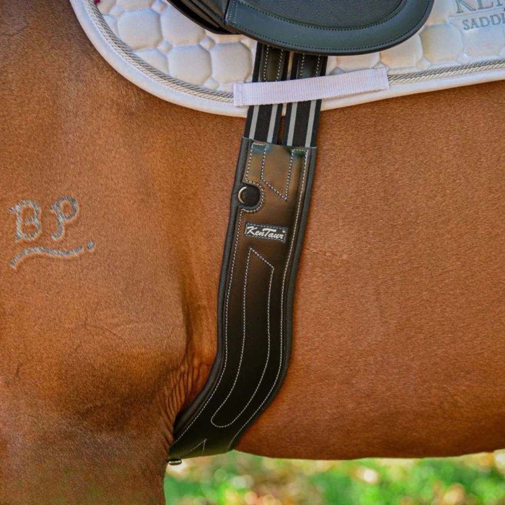 Kentaur 'Dijon' Anatomical Girth - Image 5
